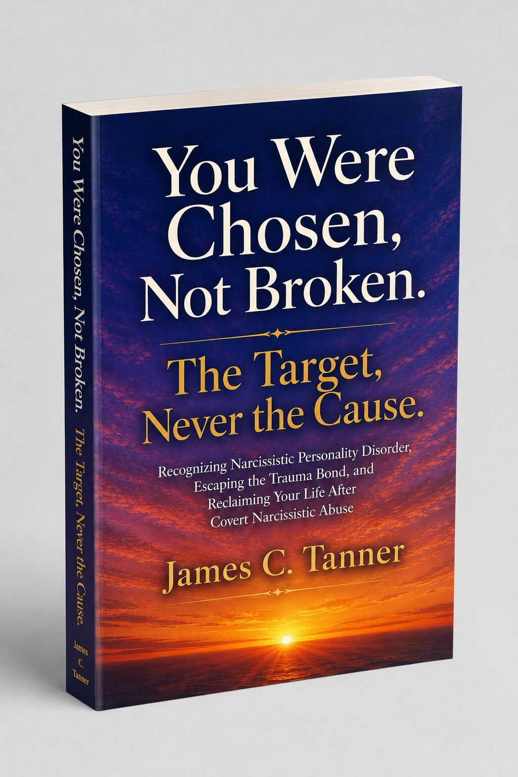 You Were Chosen Not Broken — The Target Never the Cause by James C. Tanner